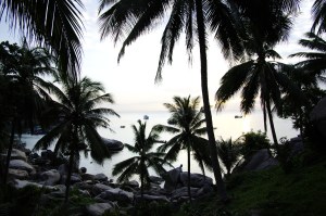 view from our bungalow